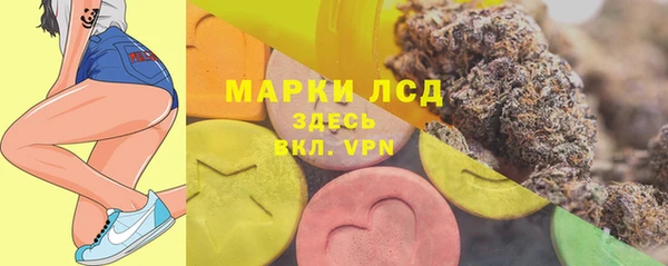 стаф Аркадак