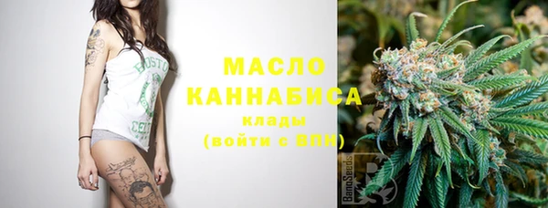 шишки Арсеньев