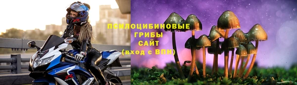 ПСИЛОЦИБИНОВЫЕ ГРИБЫ Армянск