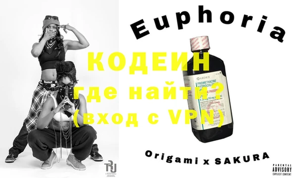 шишки Арсеньев