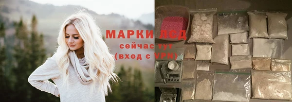 стаф Аркадак