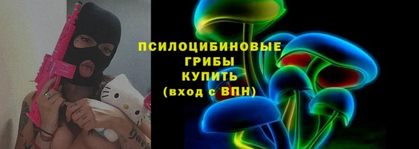 ПСИЛОЦИБИНОВЫЕ ГРИБЫ Армянск