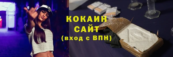 стаф Аркадак