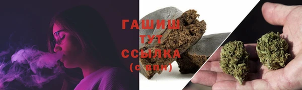стаф Аркадак