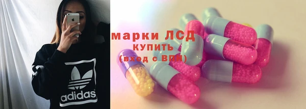 стаф Аркадак