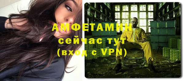 стаф Аркадак