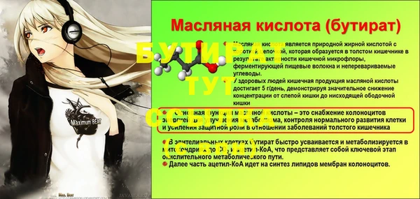 стаф Аркадак