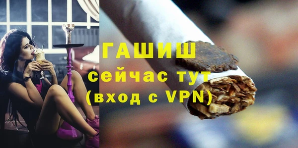 стаф Аркадак