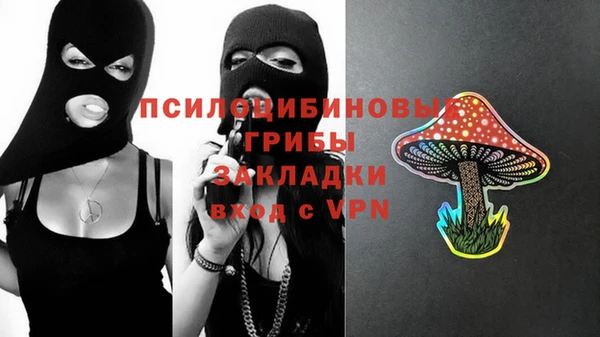 шишки Арсеньев